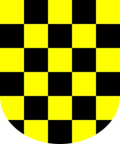 Yellow and black shield vector illustration