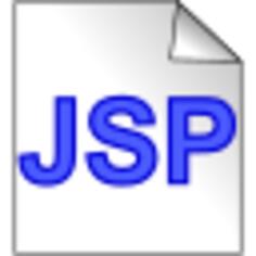 JSP page icon vector image