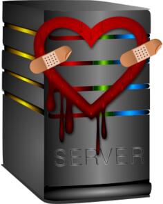 Vector graphics of heartbleed server