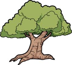 Vector graphics of wide roots oak tree