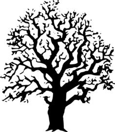 Oak tree vector image