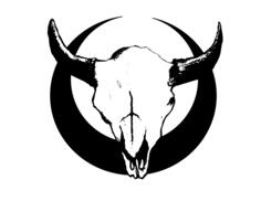 Skull of bull on circle motif vector image