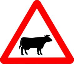 Vector image of cattle on road roadsign