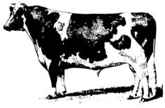 Vector clip art of farming cow