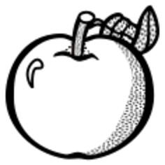 Fresh apple vector line art vector graphics