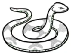 Convolute snake line art vector image