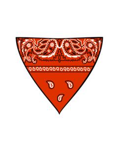 Red bandana vector image