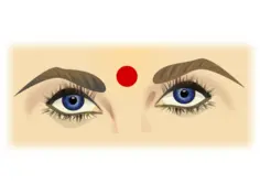 Indian lady eyes vector illustration