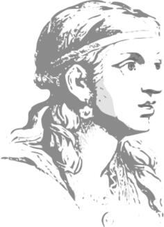 Lady face expression vector image