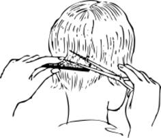 Vector clip art of hair styling back of head