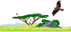 African savanna scene vector image