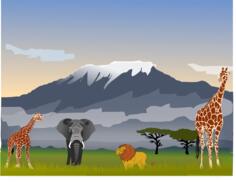 Mount Kilimanjaro scene vector drawing