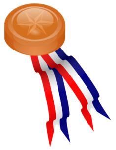 Bronze medallion with blue, white and red ribbon vector drawing
