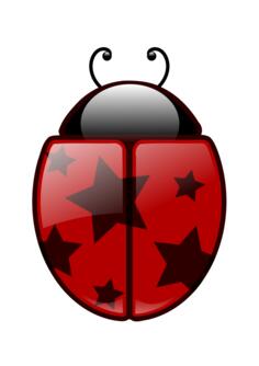 Vector clip art of ladybird insect