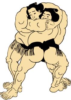 Vector graphics of sumo fighters in ring