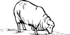 Sheep grazing vector clip art