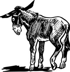 Donkey vector illustration