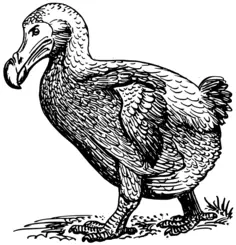 Dodo bird vector clip art