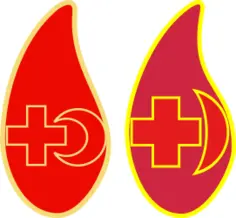 Donors' badge vector image