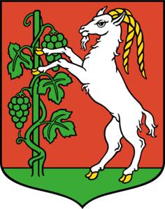 Vector drawing of coat of arms of Lublin City