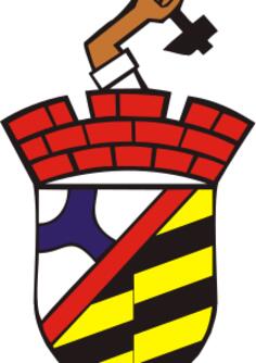Vector drawing of coat of arms of Sosnowiec City