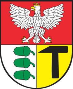 Vector image of coat of arms of Dabrowa-Gornicza City