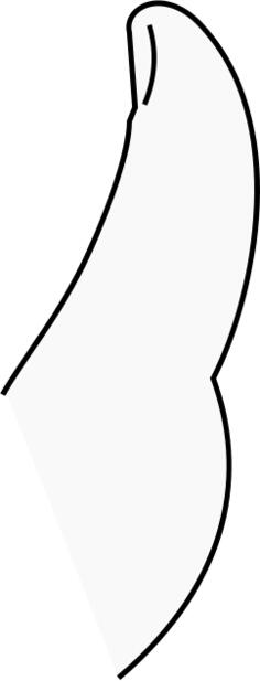 Vector image of human thumb
