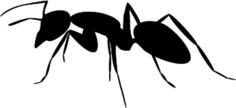 Ant icon silhouette vector drawing