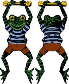 Vector image of acrobat frog