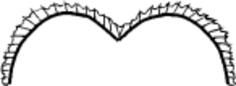 Vector graphics of ballerina white bodice lace