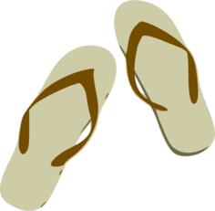Vector illustration of brown flip flops
