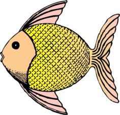 Vector illustration of tropical patterned fish