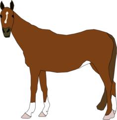 Vector illustration of brown horse standing