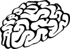 Hand drawn human brain vector drawing