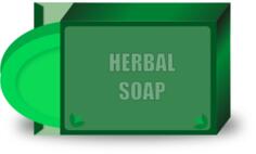 Vector illustration of herbal beauty soap