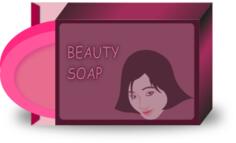 Asian beauty soap vector image