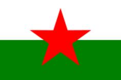 Welsh Republican flag vector