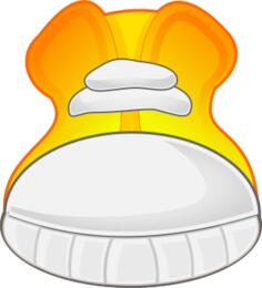 Sneaker shoe close-up vector image
