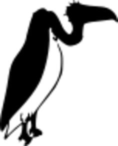 Vulture silhouette vector illustration