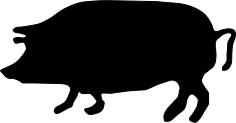 Silhouette vector graphics of wild pig