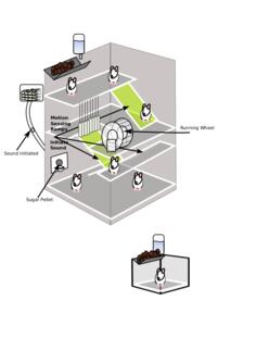 Vector graphics of mouse experiment trap
