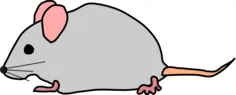 Vector drawing of mouse with pink ears