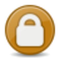 Vector image of brown security icon
