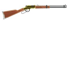 Vector image of shotgun template