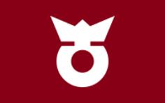 Flag of Koza, Wakayama