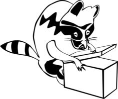 Raccoon opening box vector image