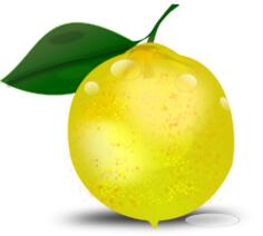 Photorealistic lemon with a leaf vector illustration