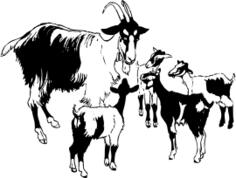 Vector image of goat and kids