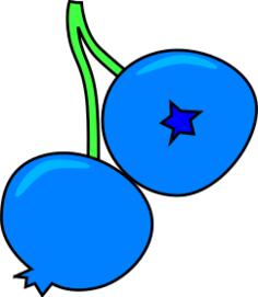 Blueberry vector image