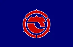 Official flag of Satomi vector drawing